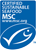MSC